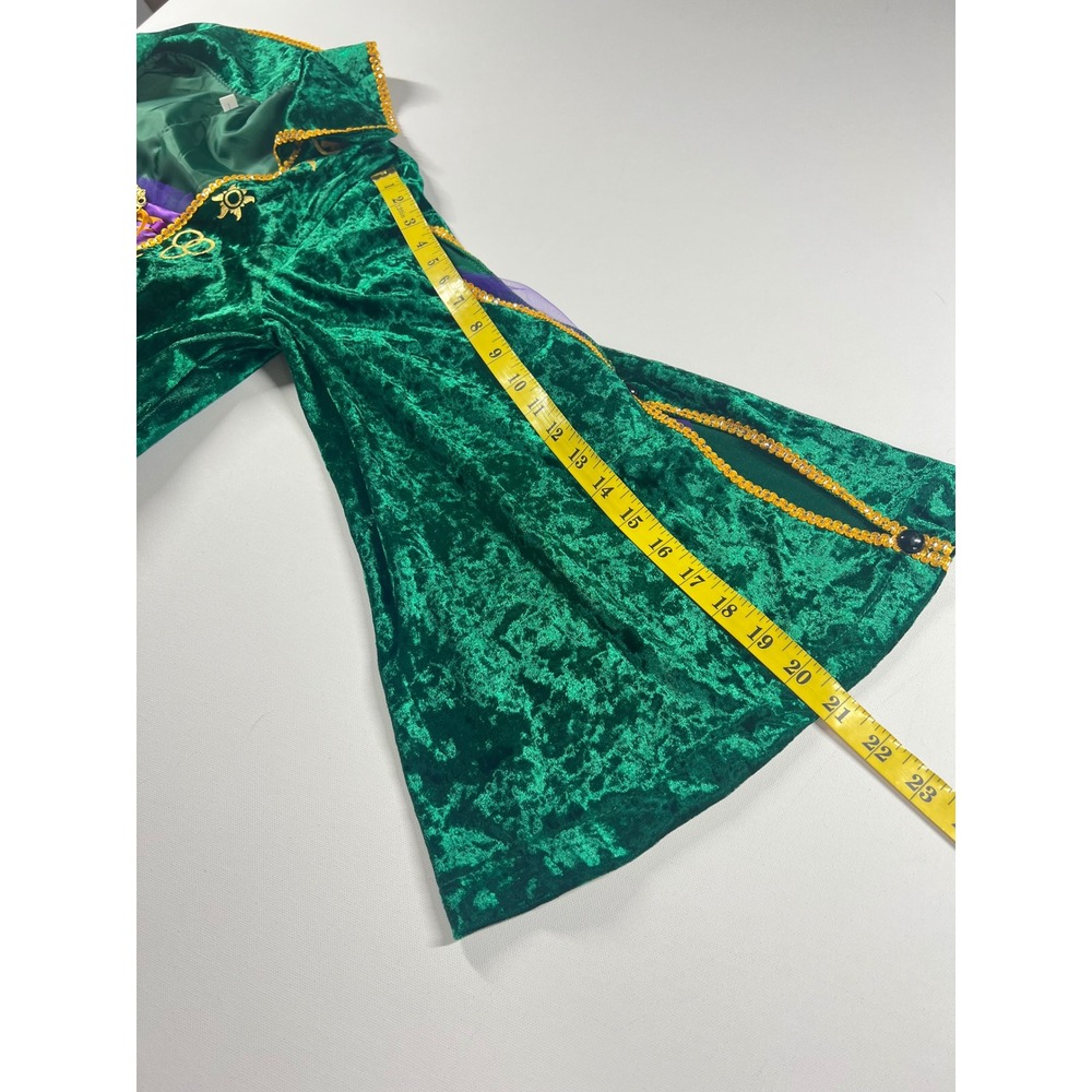 Hocus Pocus Winifred Sanderson Halloween Cosplay Velvet Medieval Gown Medium - Picture 14 of 16
